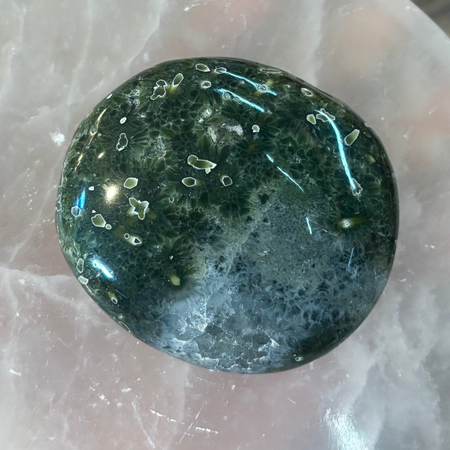 7th Vein Orbicular Ocean Jasper