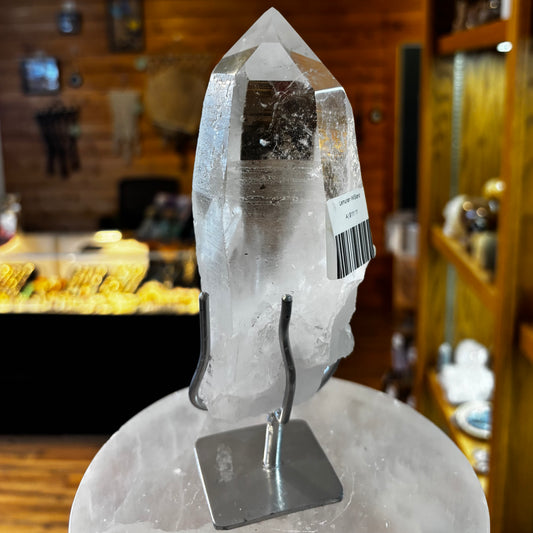 Lemurian W/Stand