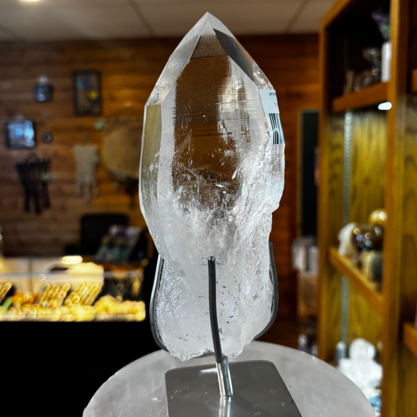 Lemurian W/Stand