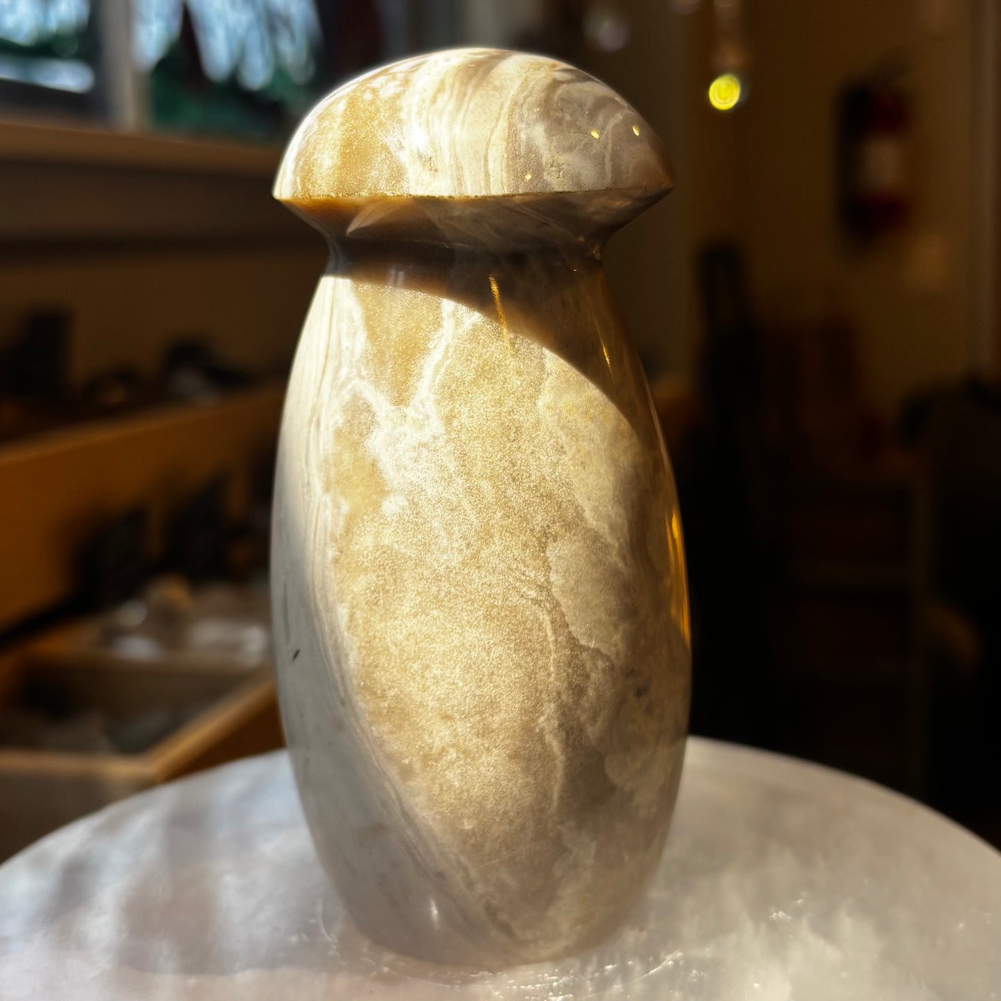 Ocean Jasper Mushroom