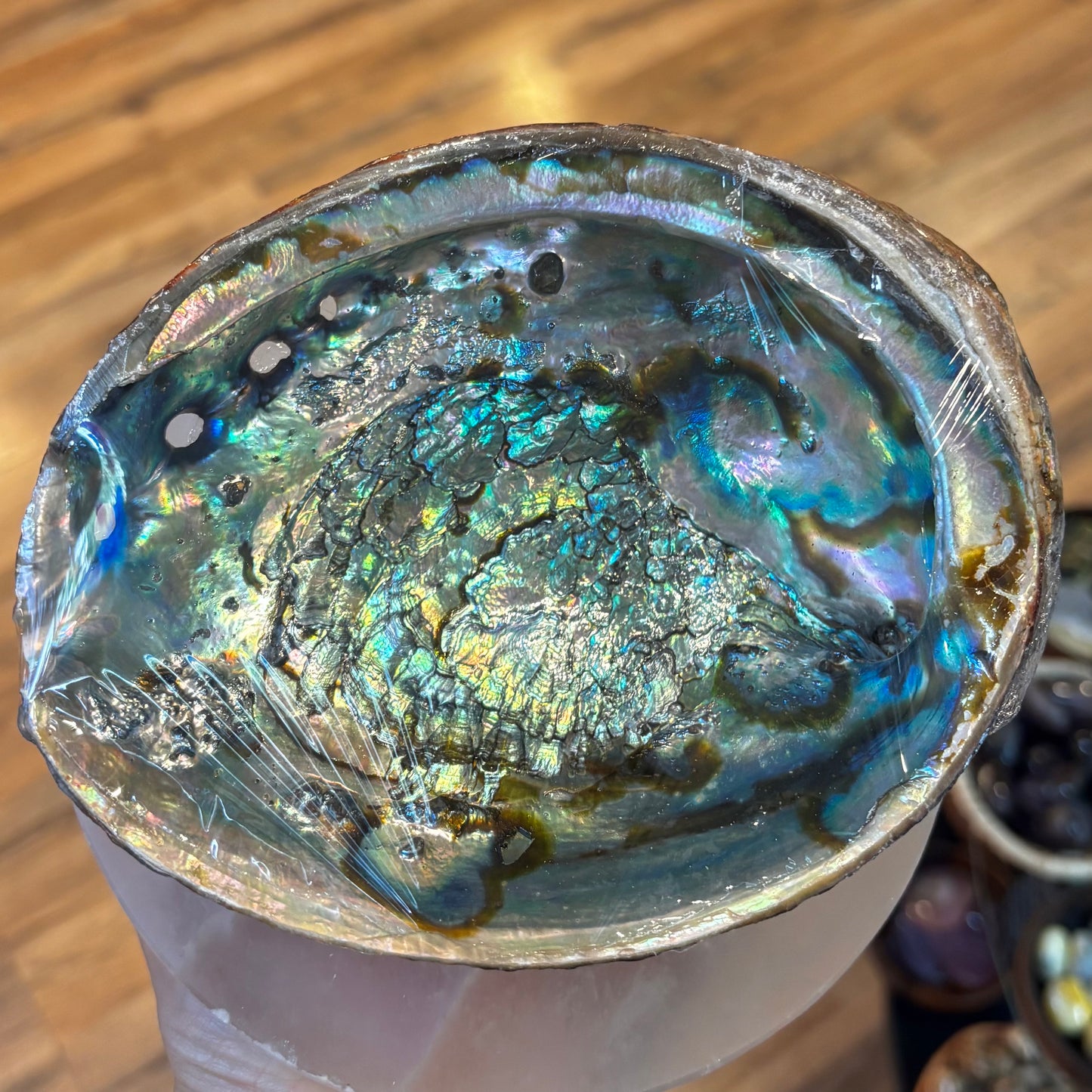 Abalone Shell