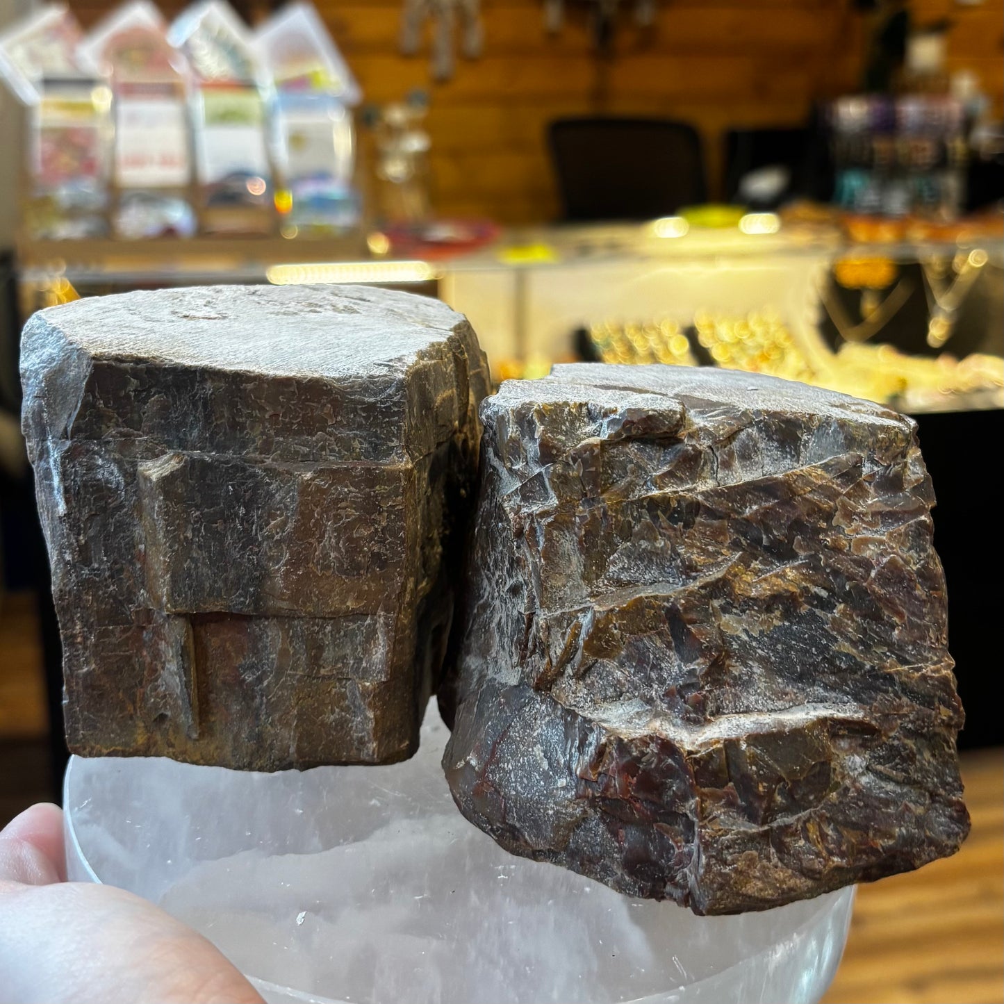 Raw Petrified Wood Chunk
