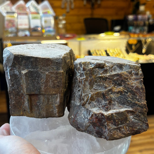 Raw Petrified Wood Chunk