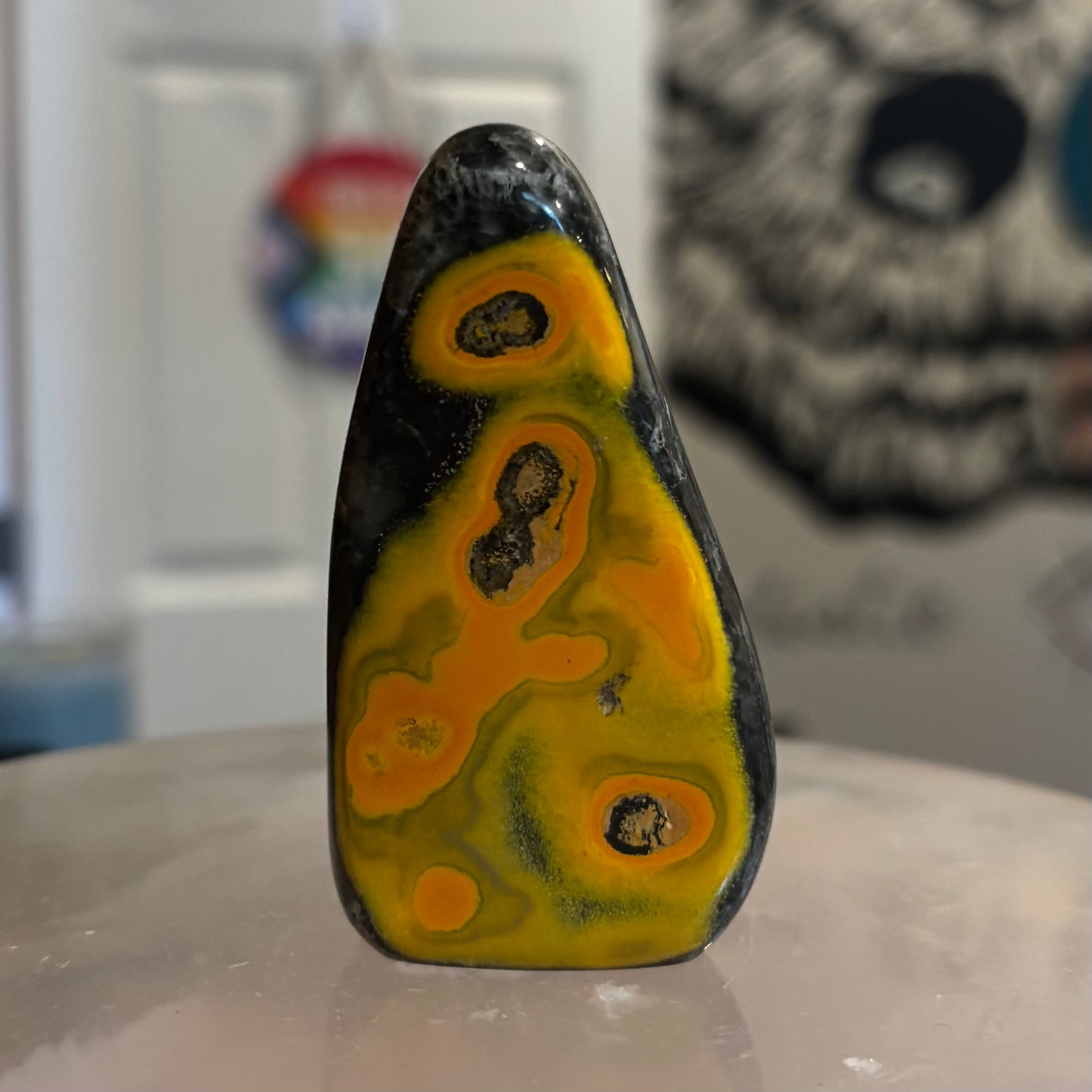 Bumblebee Jasper Freeform