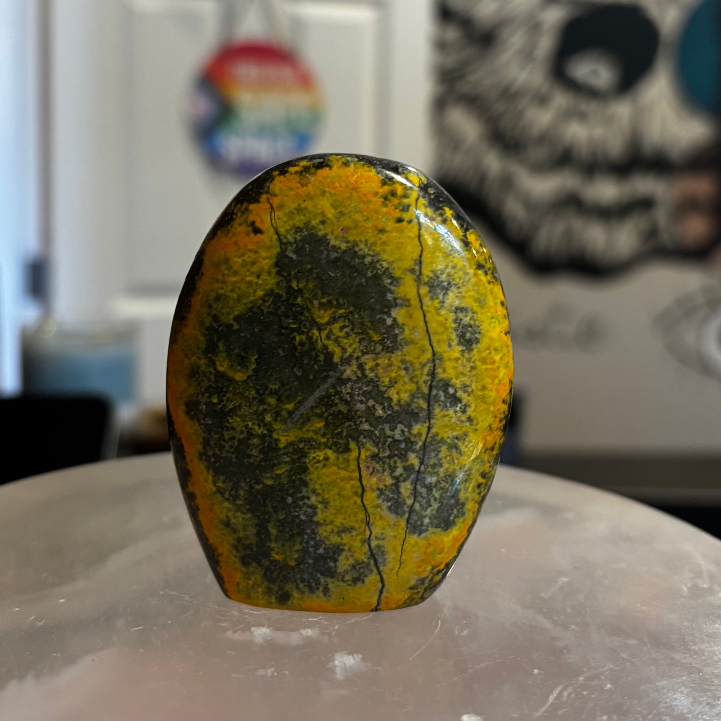 Bumblebee Jasper Freeform