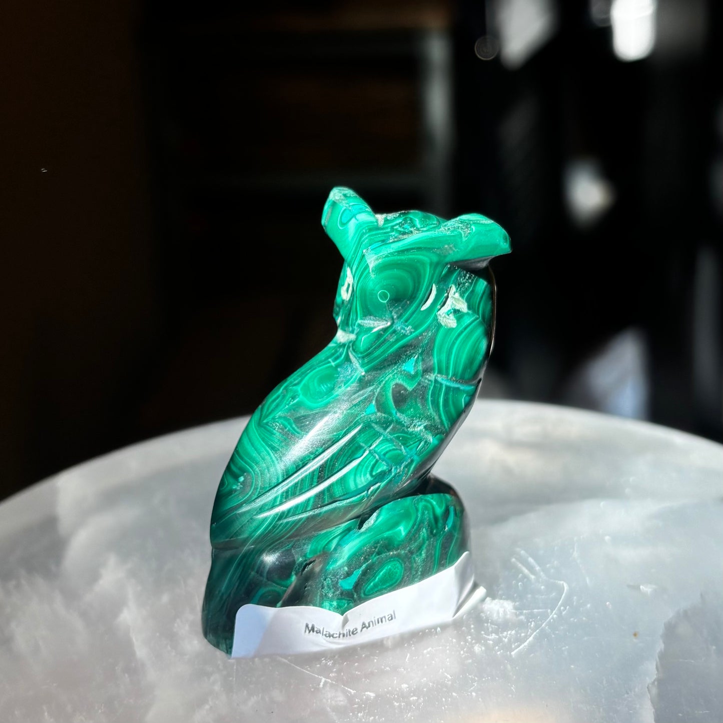Malachite Animal