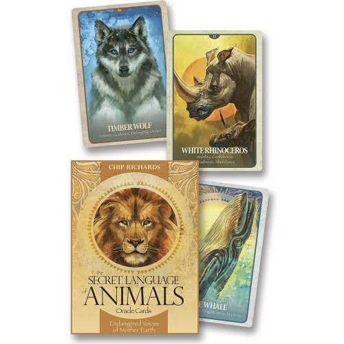 The Secret Language Of Animals